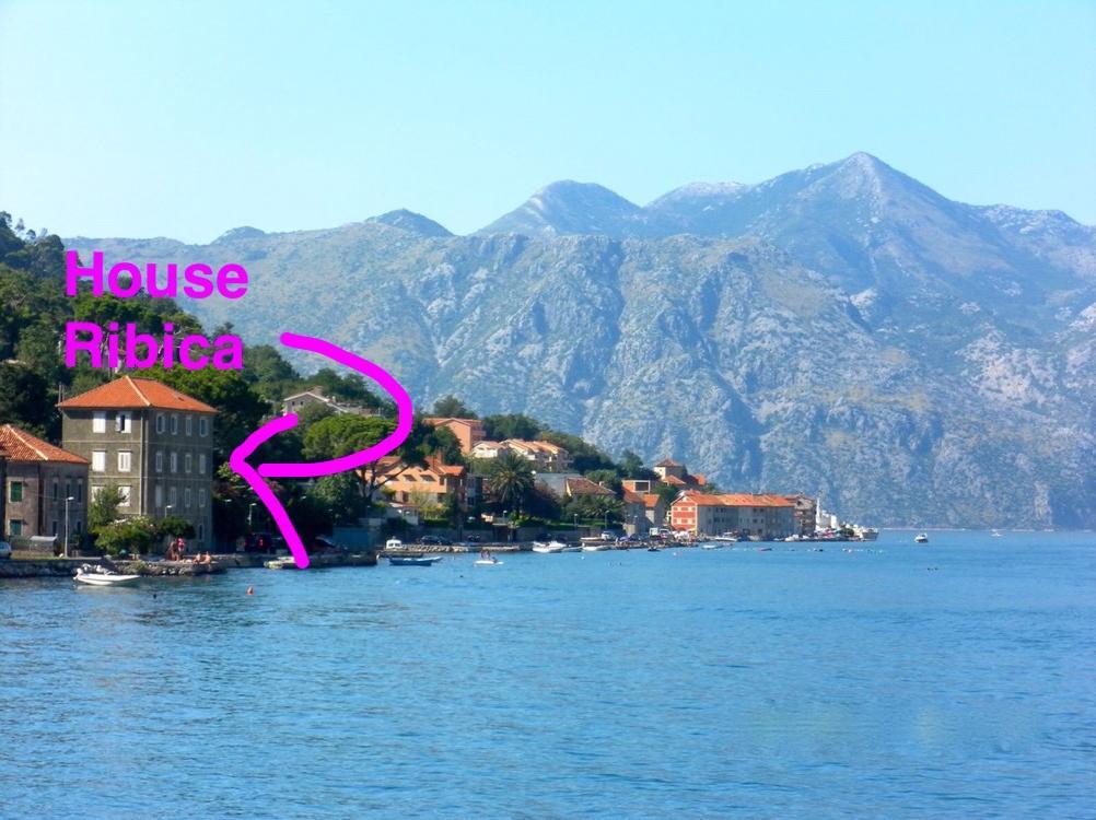 Ribica Apartments Kotor Kültér fotó